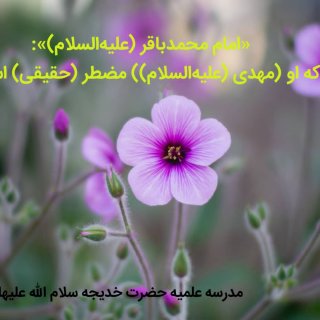 نیمه‌ی شعبان