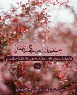 نیمه‌ی شعبان